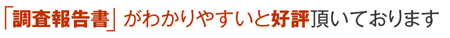 調査報告書がわかりやすいと好評をいただいています。